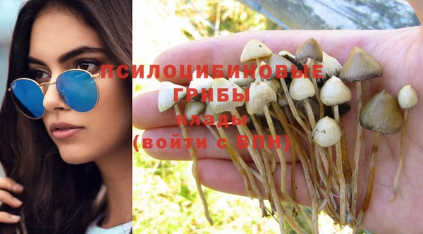 MDMA Богородицк