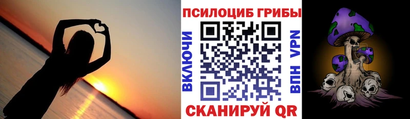 маркетплейс наркотические препараты  Курган  Галлюциногенные грибы Magic Shrooms 